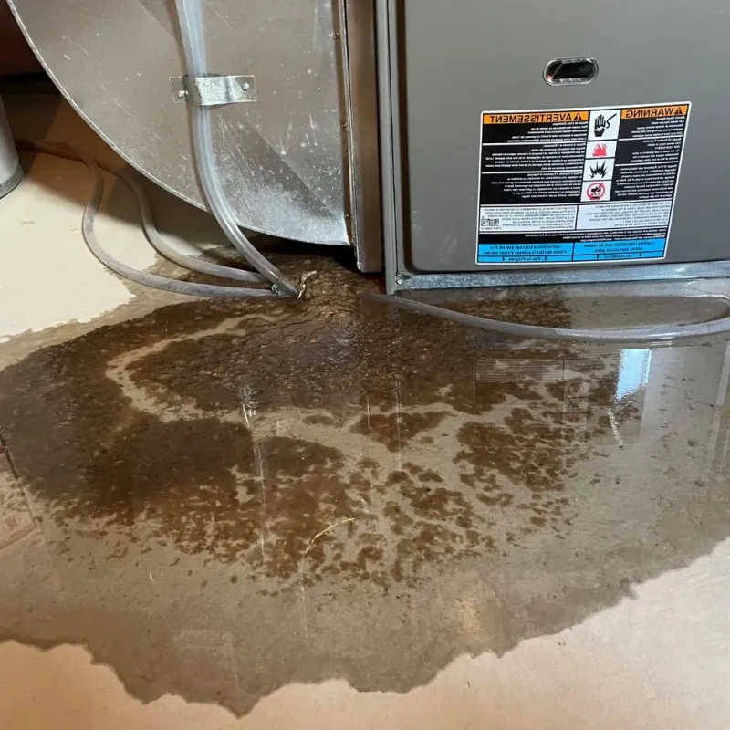Pipe Burst and Leak Restoration in Boardman, OH