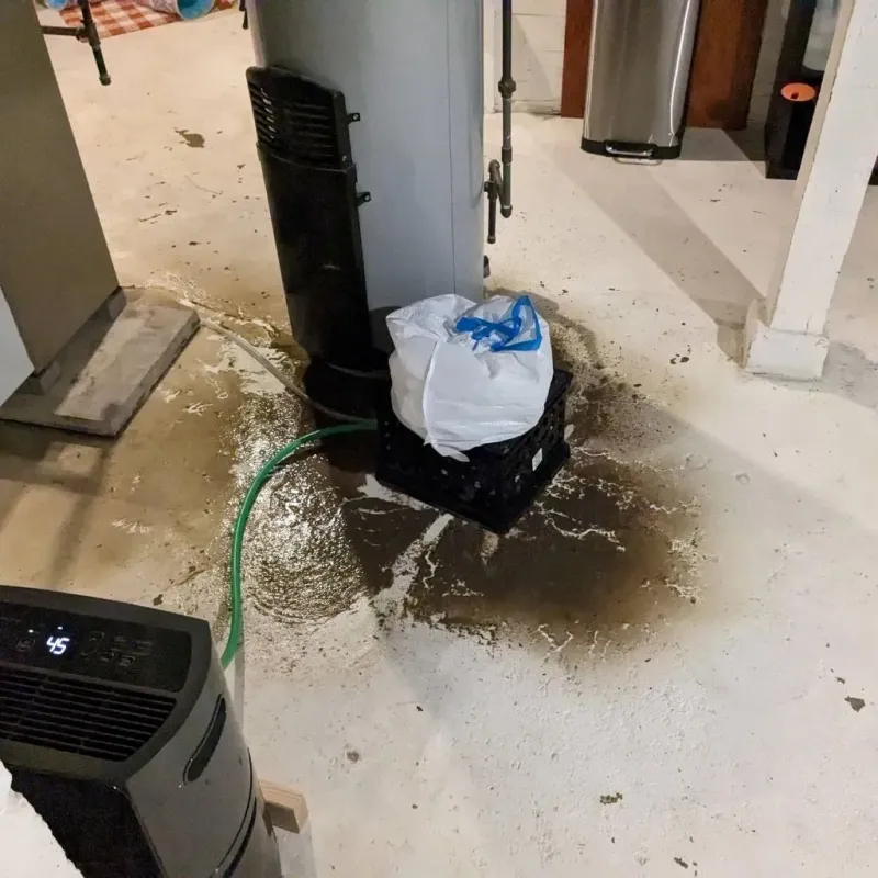 Sewage Backup Cleanup Service in Boardman, OH
